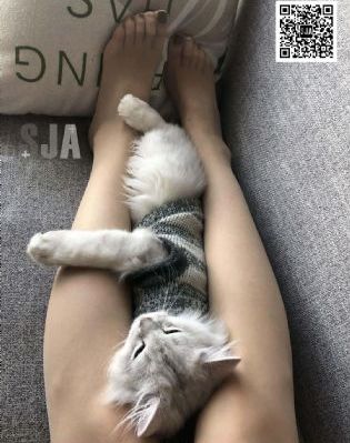 伊人久久大香线蕉av最新_HD高清在线